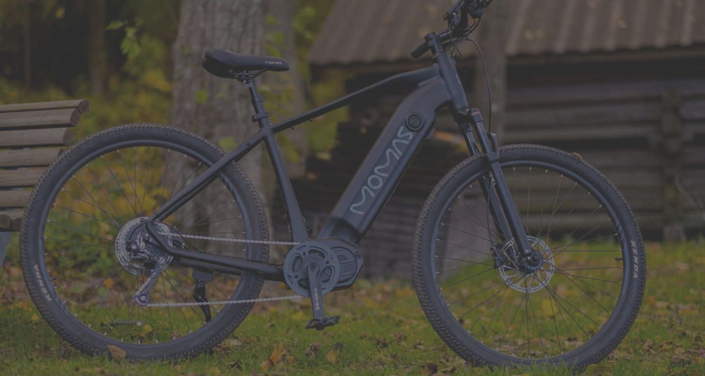 EBike Desktop Banner